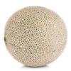 Cantaloupe